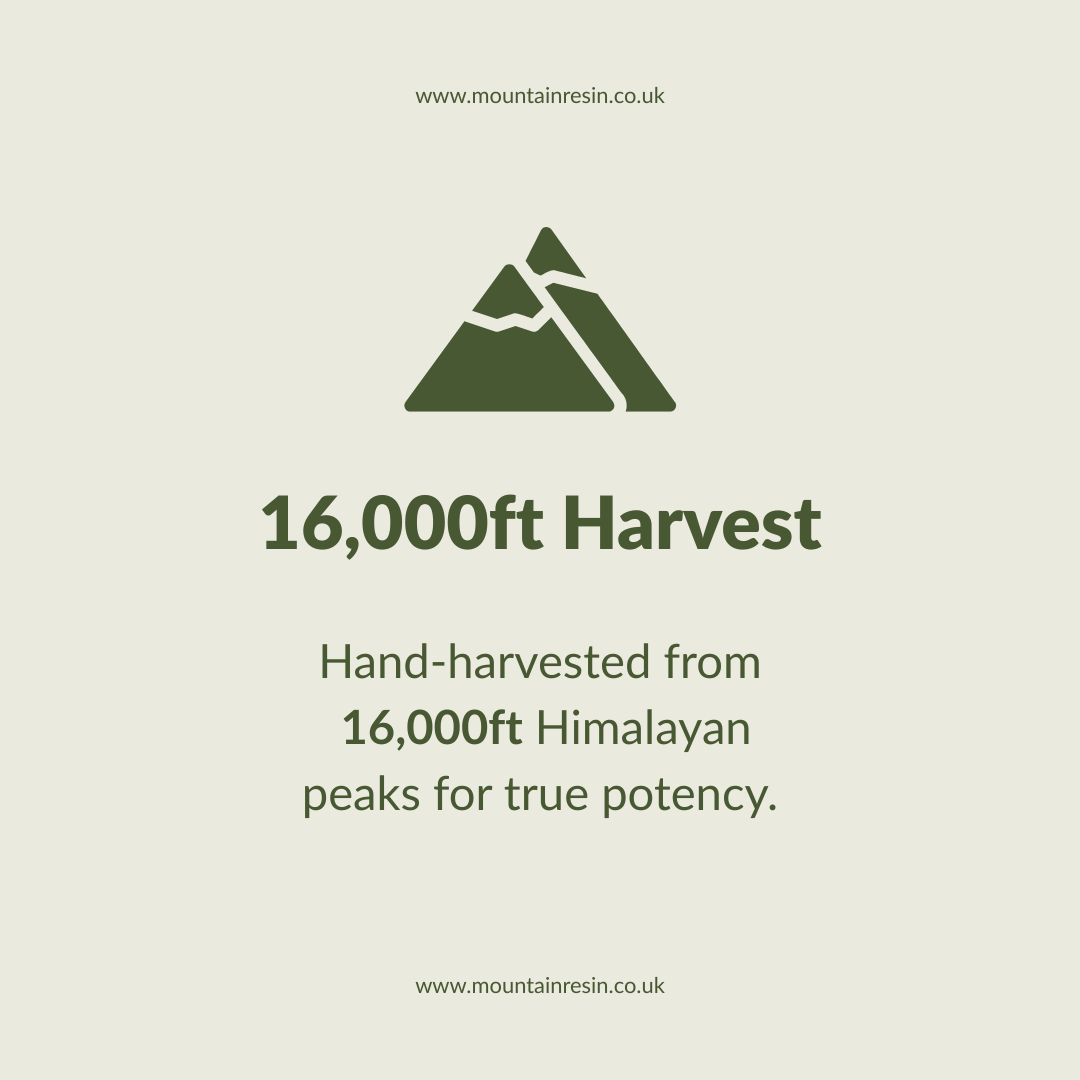 Mountain Resin® 100% Pure Sun-Dried Himalayan Shilajit