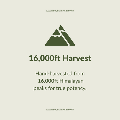 Mountain Resin® 100% Pure Sun-Dried Himalayan Shilajit